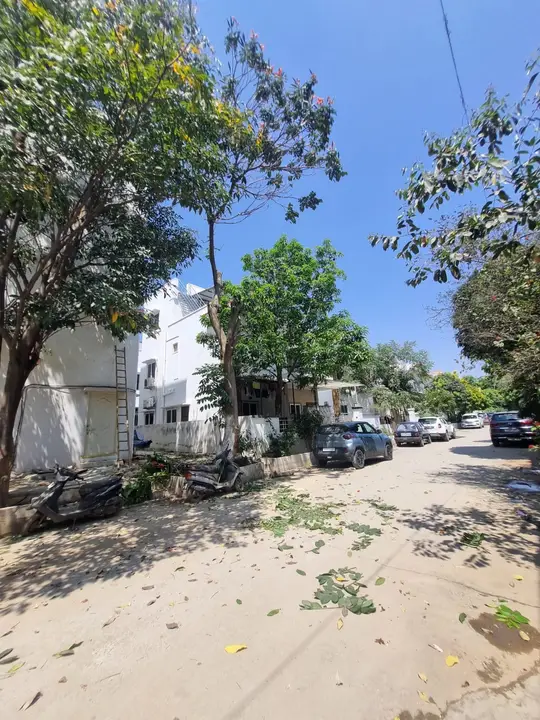 A shaded street of villas