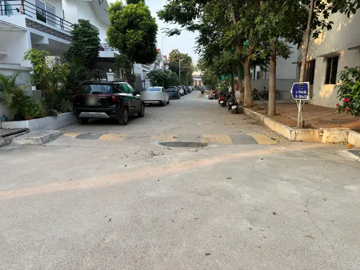 A street of villas with avenue trees